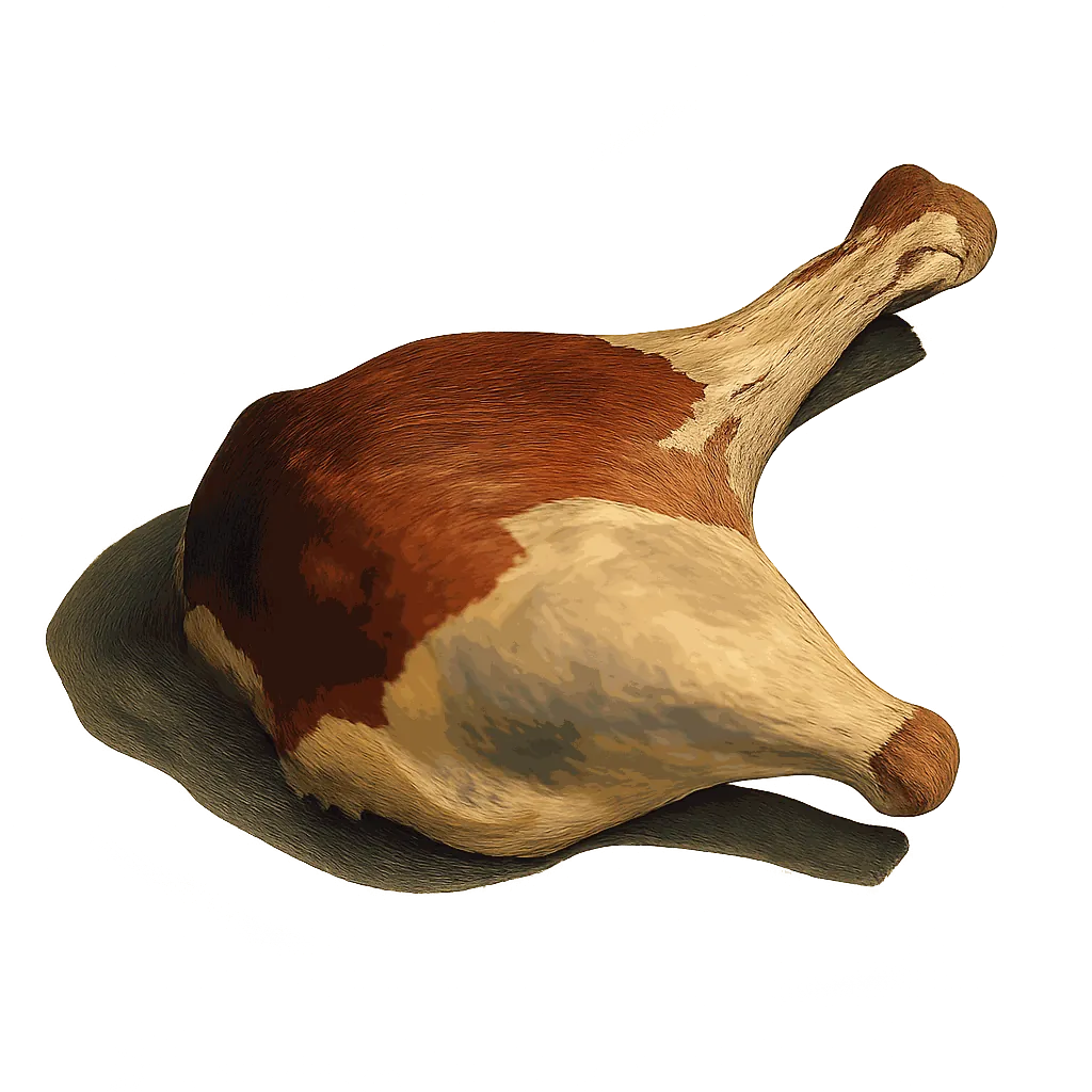 Duck thigh